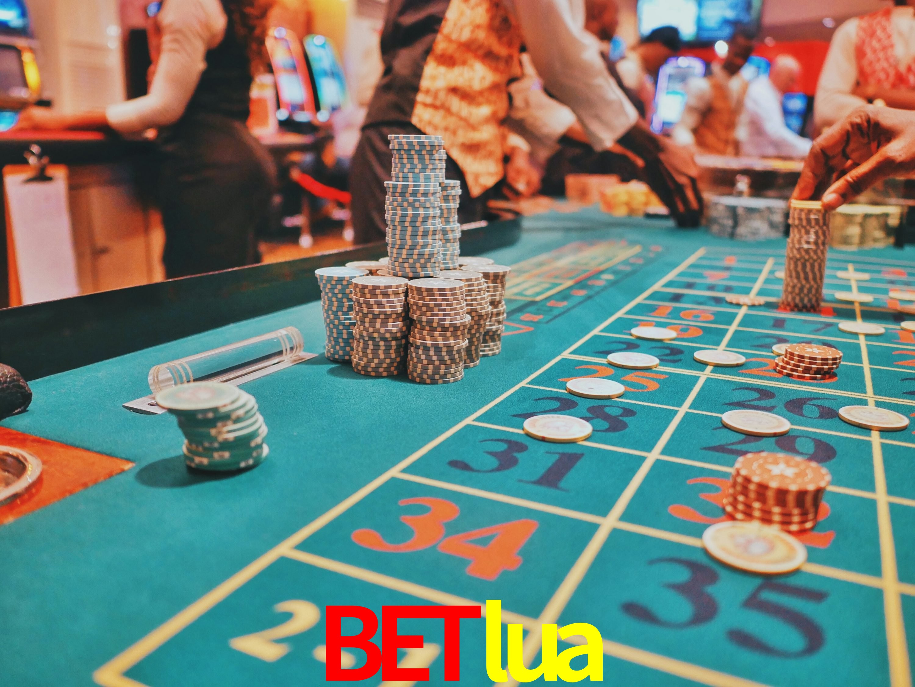 Sports Statistics betlua